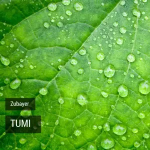 Tumi image