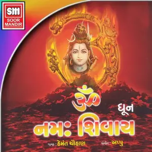 Om Namah Shivay (Dhun) image