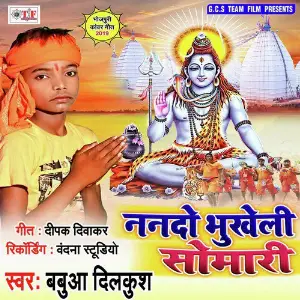 Nando Bhukheli Somari image