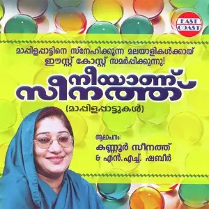 Neeyanu Seenathu image