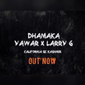 Dhamaka image