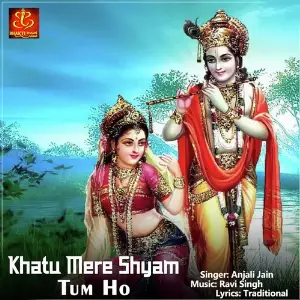 Khatu Mere Shyam Tum Ho image