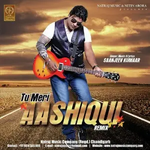 Tu Meri Aashiqui (Remix) image