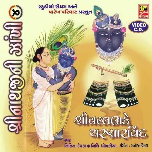 Shrinathji Ni Zankhi Part-4 image