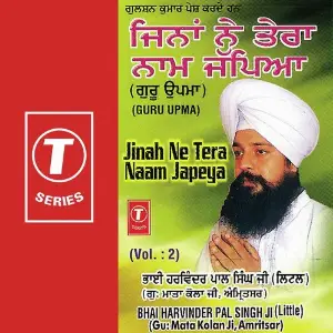 Jinah Ne Tera Naam Japeya (Vol. 2) image