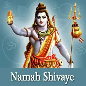 Namah Shivay image
