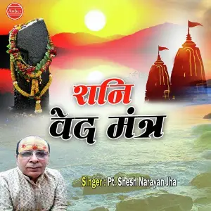 Shani Ved Mantra image