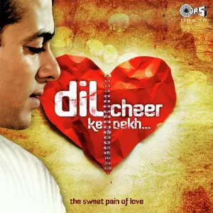 Dil Cheer Ke Dekh - The Sweet Pain Of Love image