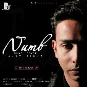 Numb (Cover Version) image