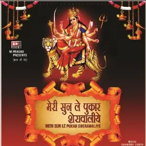 Meri Sun Le Pukar Sherawaliye image