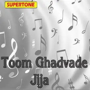 Toom Ghadvade Jija image