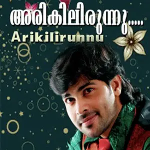 Arikilirunnu image