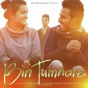 Bin Tumhare image