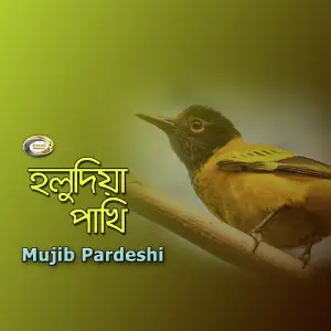 Holudia Pakhi image