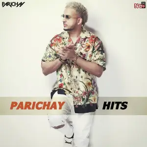 Parichay Hits image