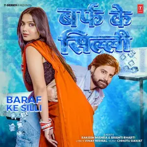 Baraf Ke Silli image