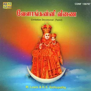 Vailankanni Veenai image