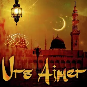 Urs Ajmer image