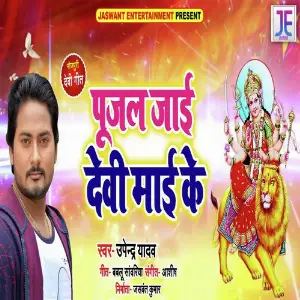 Pujal Jayi Devi Maai Ke image
