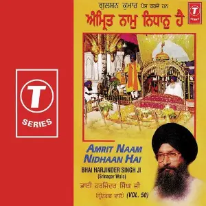 Amrit Naam Nidhaan Hai (Vol. 50) image