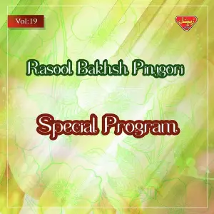 Special Program, Vol. 19 image
