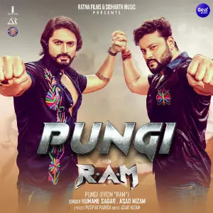 Pungi (From Ram) image