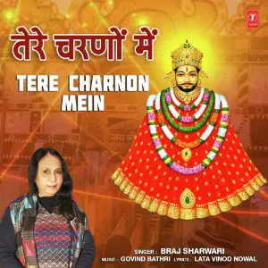 Tere Charnon Mein image