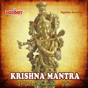 Krishna Mantra image