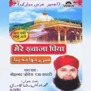 Mere Khwaja Piya image