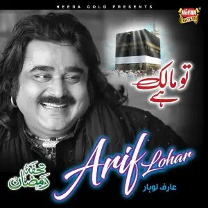 Tu Malik Hai image