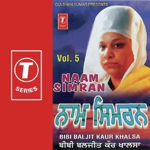 Naam Simran image