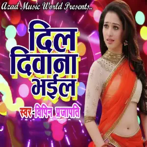 Dil Deewana Bhail image