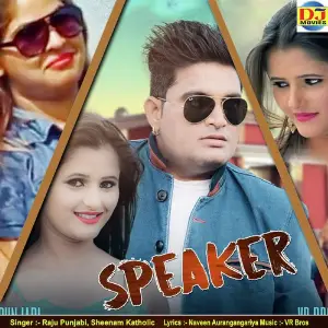 Speaker image