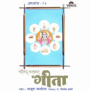 Shreemad Bhagwat Geeta - Vol. 13 image