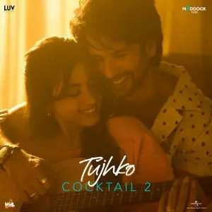 Tujhko (From Cocktail 2) image
