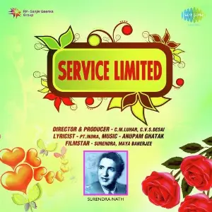 Service Limited image