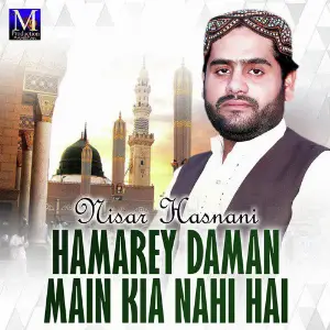 Hamarey Daman Main Kia Nahi Hai image