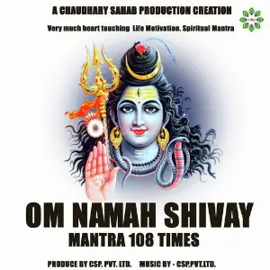 Om Namah Shivay image