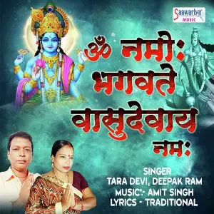 Om Namo Bhagavate Vasudevaya Namah image