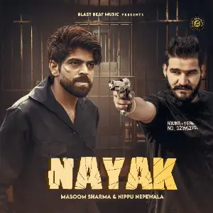 NAYAK image