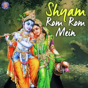 Shyam Rom Rom Mein image