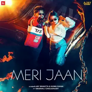 Meri Jaan image