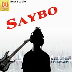Saybo image