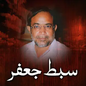 Sibte Jaffar image