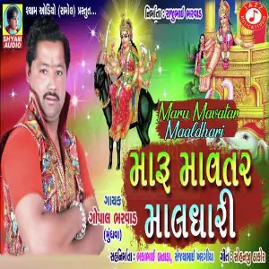 Maru Mavatar Maaldhari Re image