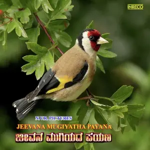 Jeevana Mugiyatha Payana image