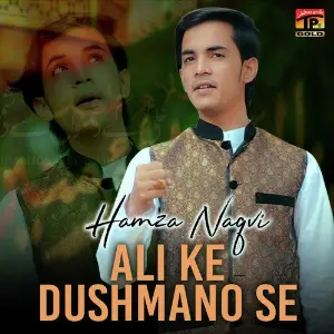 Ali Ke Dushmano Se image