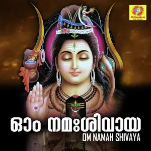 Om Namah Shivaya image