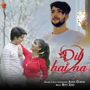 Dil Hai Na - Single image