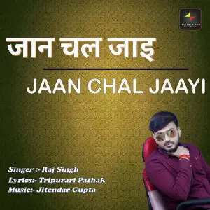 Jaan Chal Jaayi image